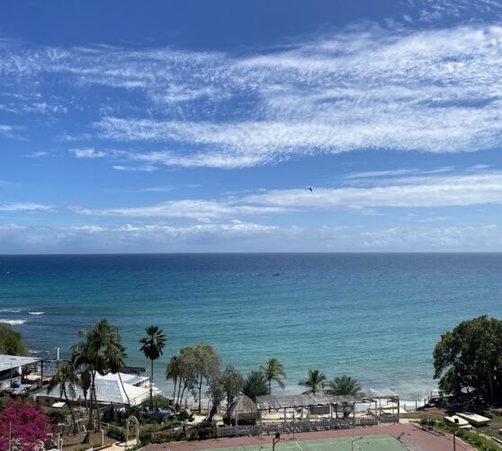 Hippocampus Vacation Club · 5