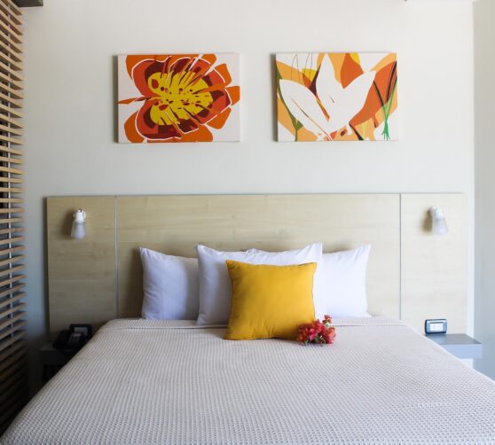 Hotel Paradise Oasis · 3