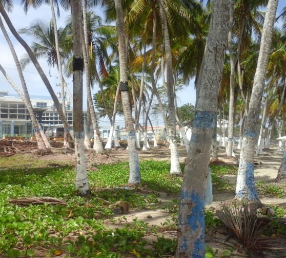 Hotel Residencia Playa el Agua · 2