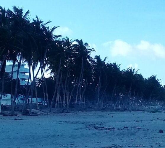 Hotel Residencia Playa el Agua · 4