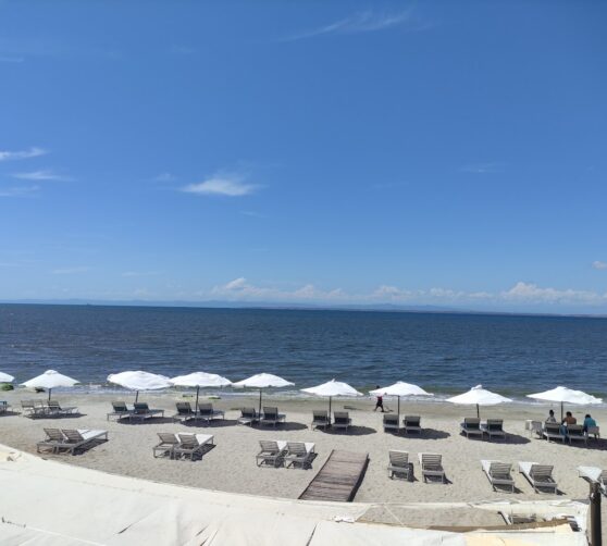 Hotel Tacamajaca · 5