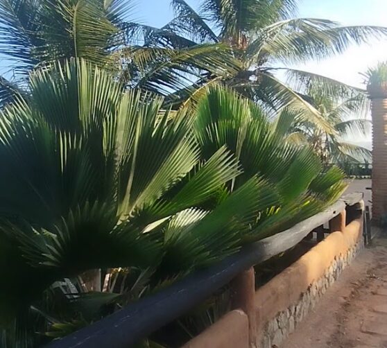 Hotel Vista Hermosa · 2