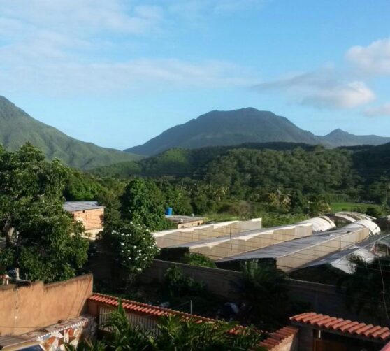 Posada Alcira · 5