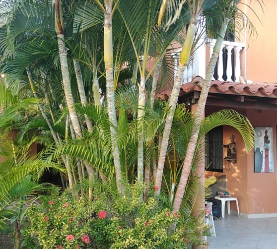 Posada Arimar · 2