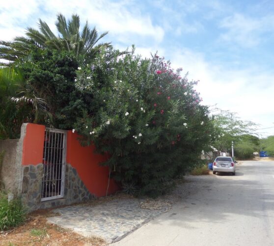 Posada Casa Caracola · 2