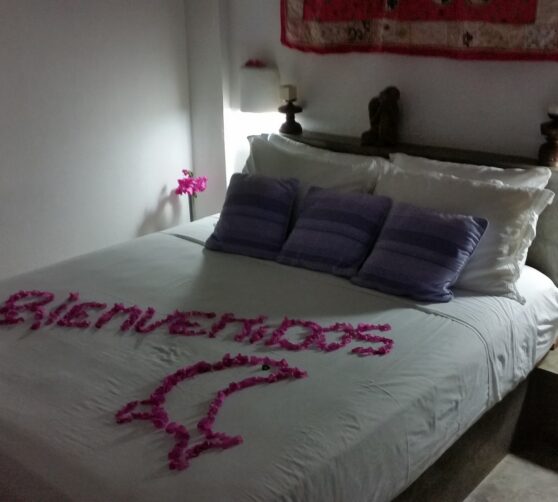 Posada Rancho Delfin · 2