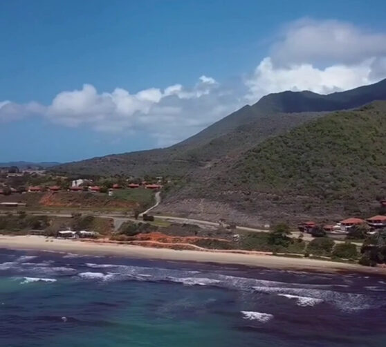 Tamarindo Guacuco · 2