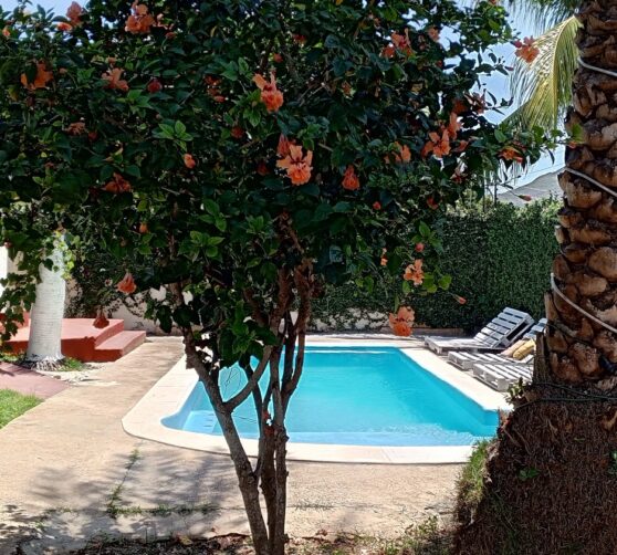 Casa vacacional white beach · 4