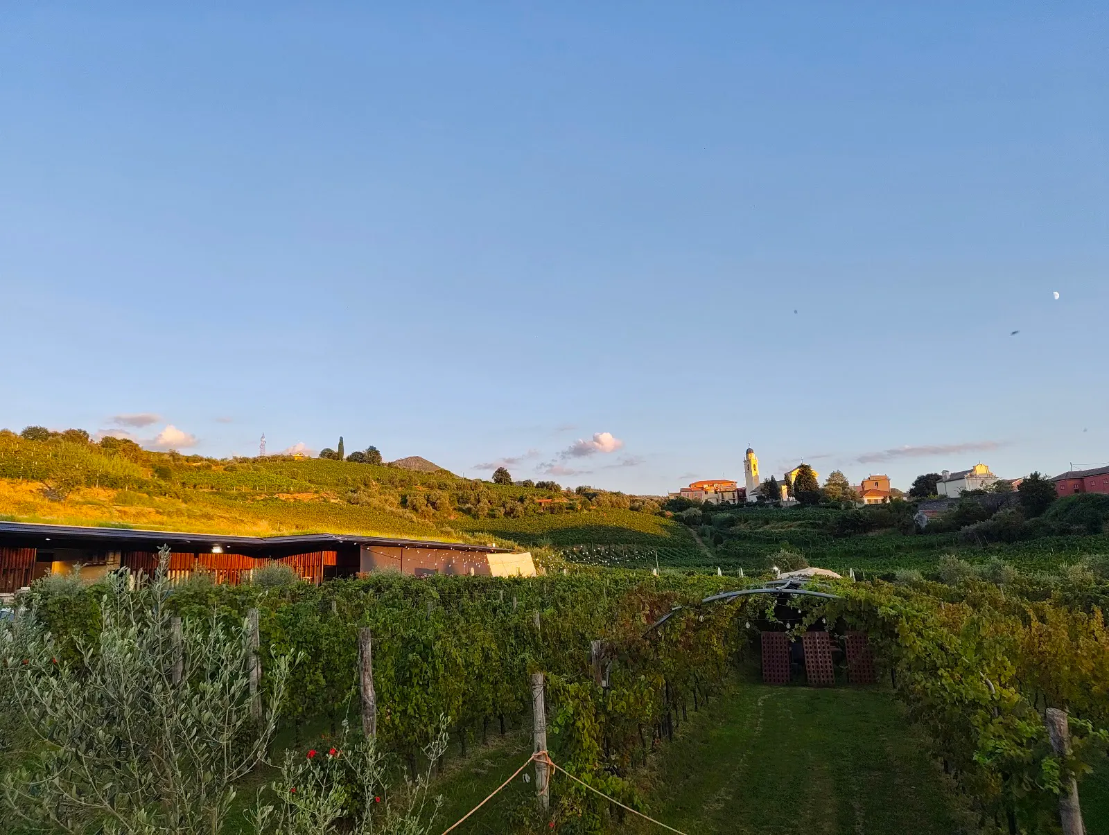 La Cantina Bisson "Cantina degli Abissi" · 3