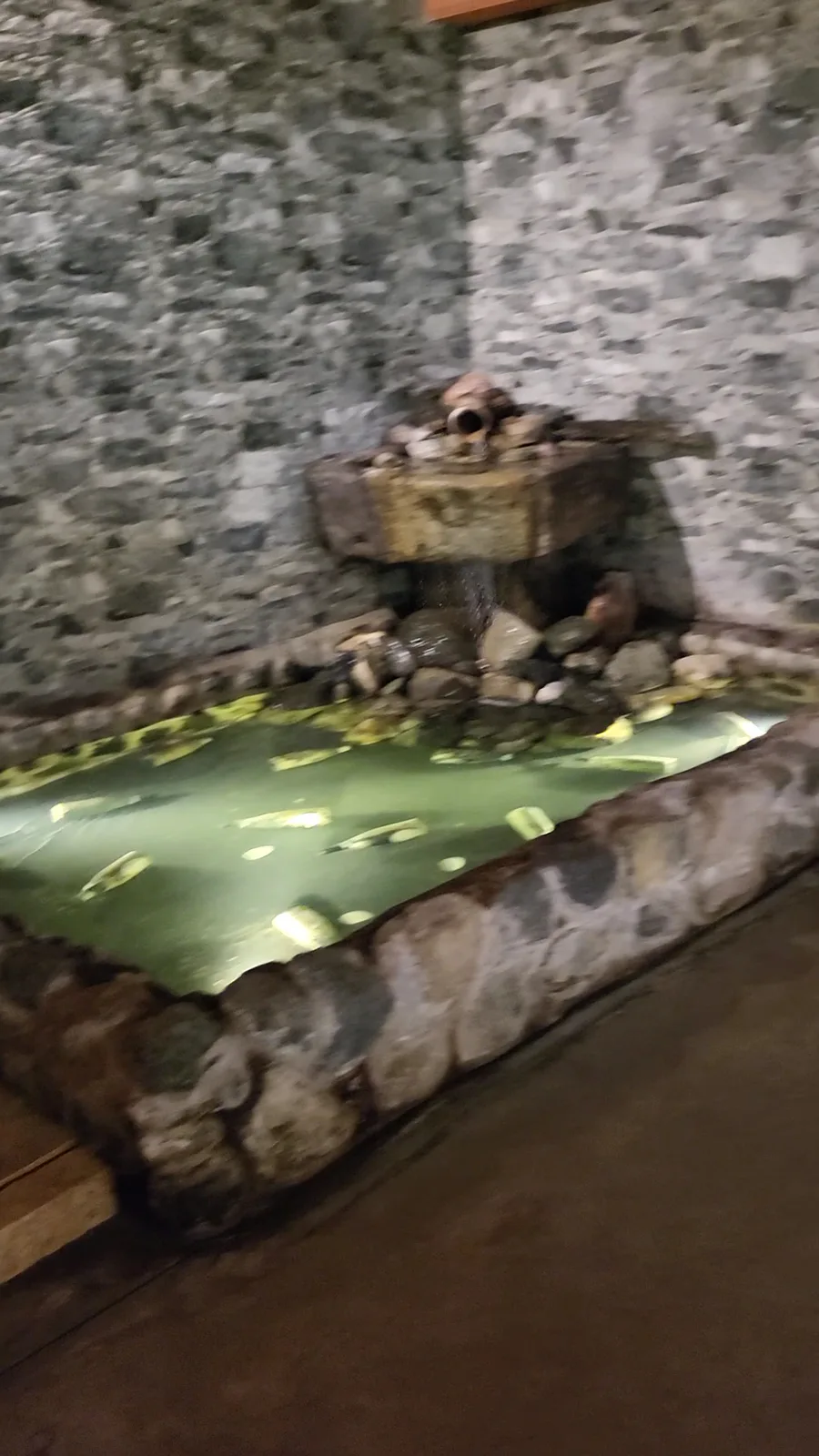 La Cantina Bisson "Cantina degli Abissi" · 4