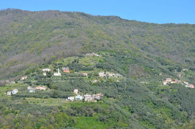 Sorlana