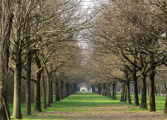 parco Nord Milano