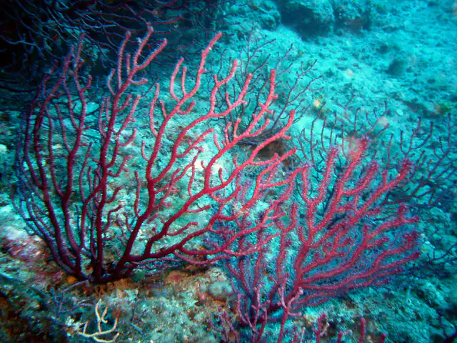 Area naturale marina protetta Portofino