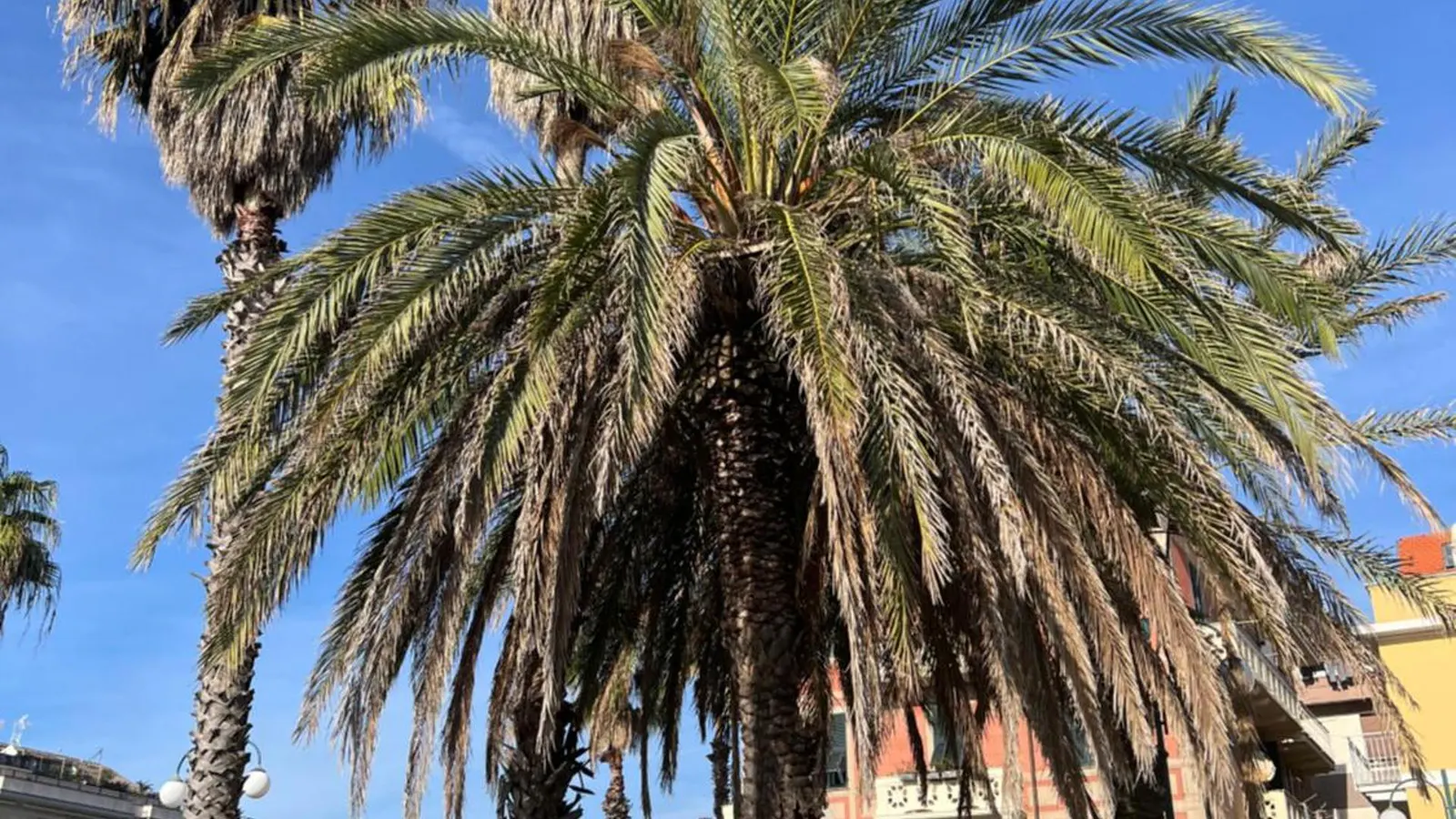 Hotel & Garden · 3