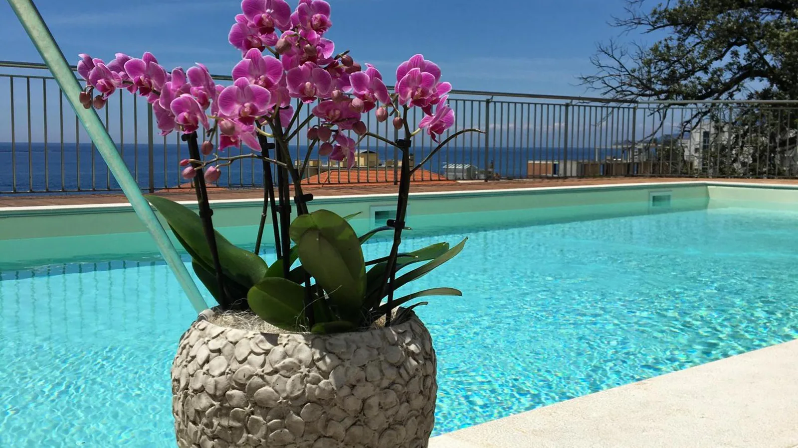 Hotel Mediterraneo · 4
