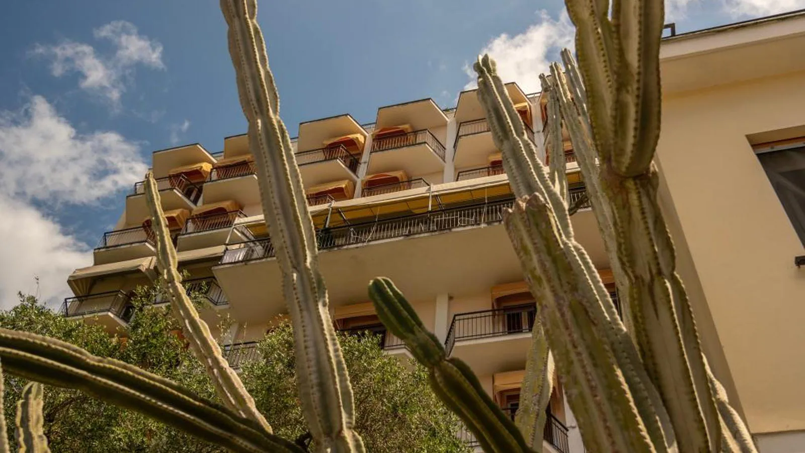 Hotel Mediterraneo · 5
