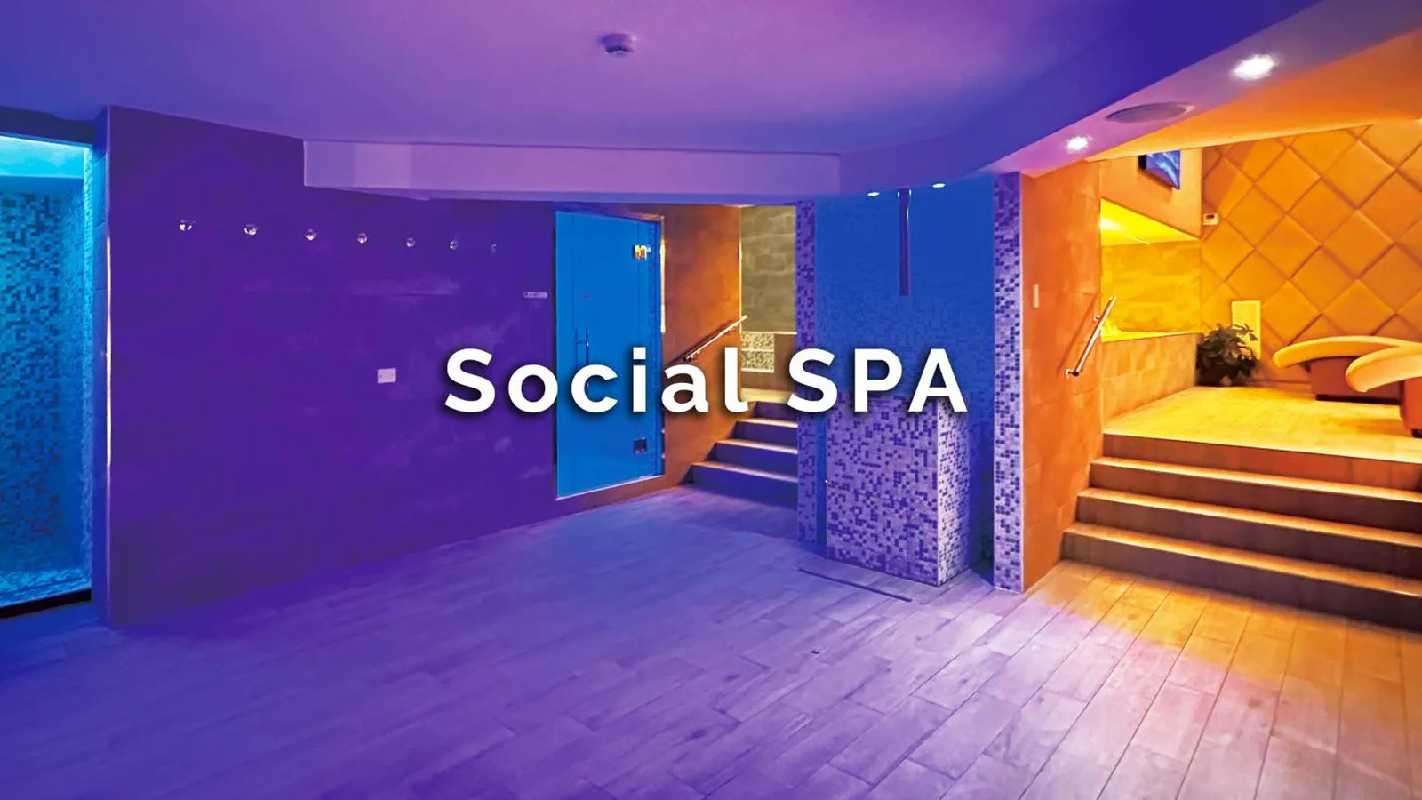 The Hive Hotel · 5