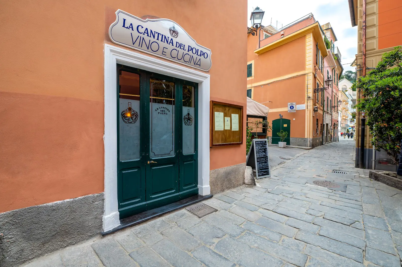 La Cantina del Polpo